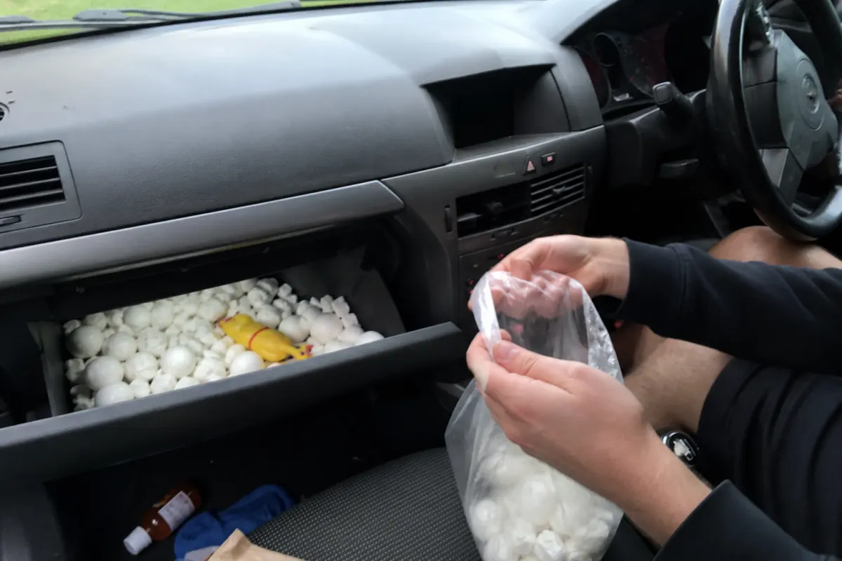 The glovebox avalanche