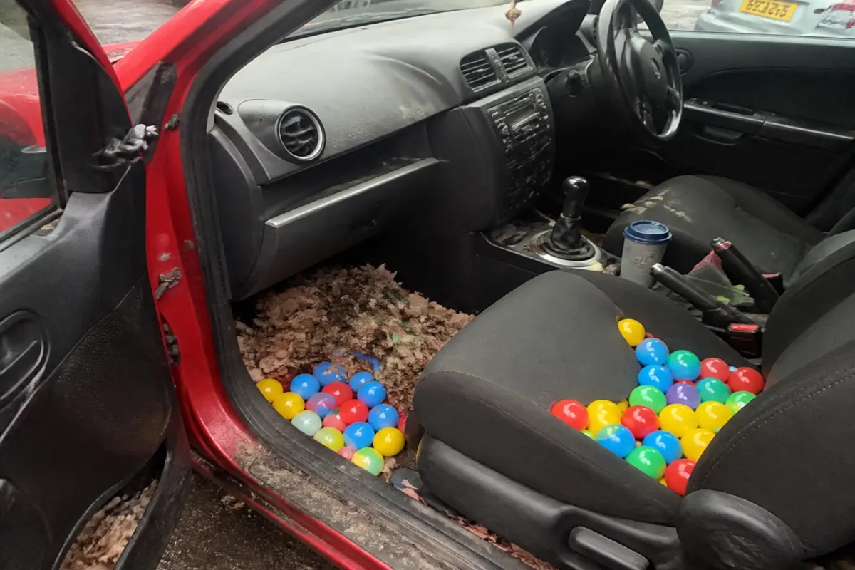 Leaf or ball-pit fill