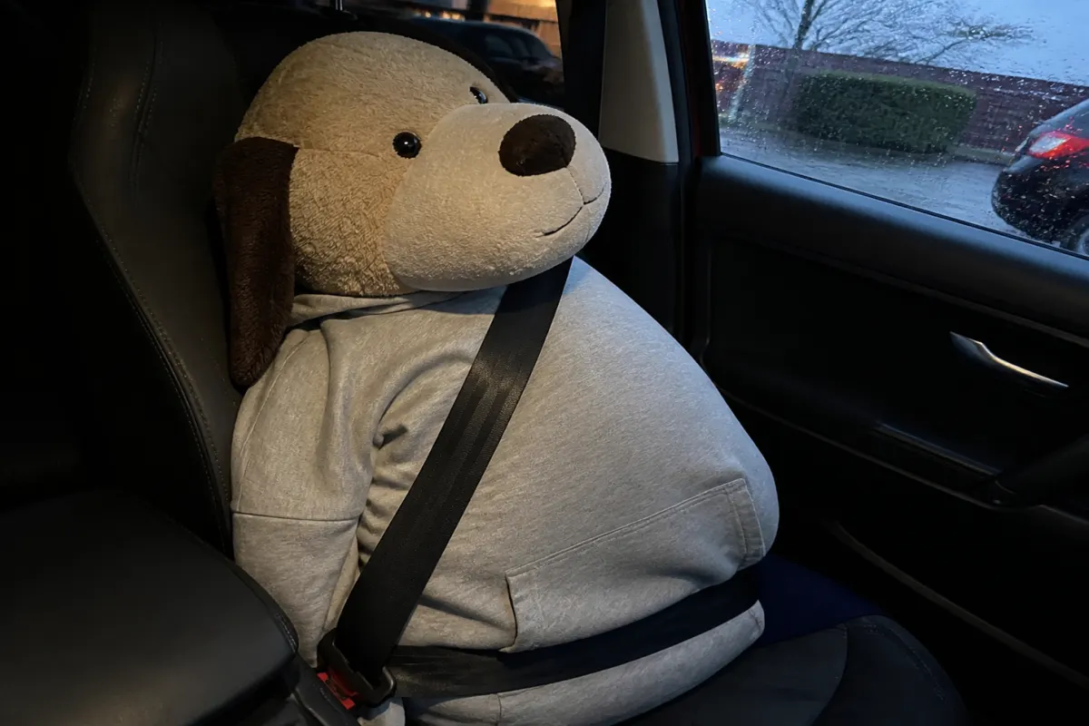 The passenger