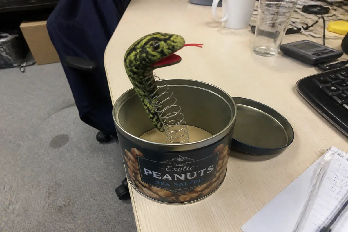The snake-in-a-can