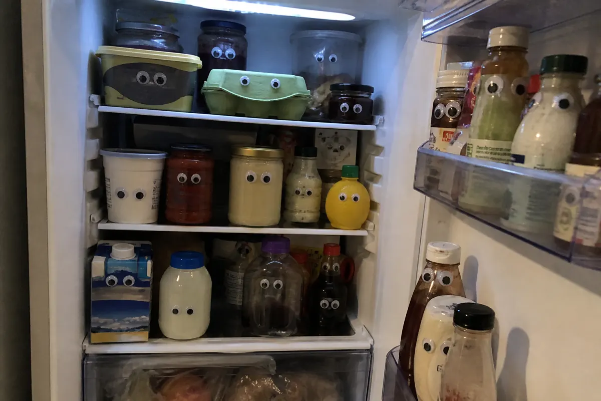 Fridge googly eyes