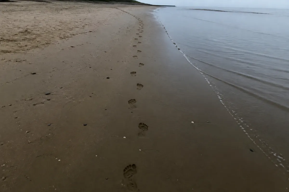 A trail of footprints in wet sand