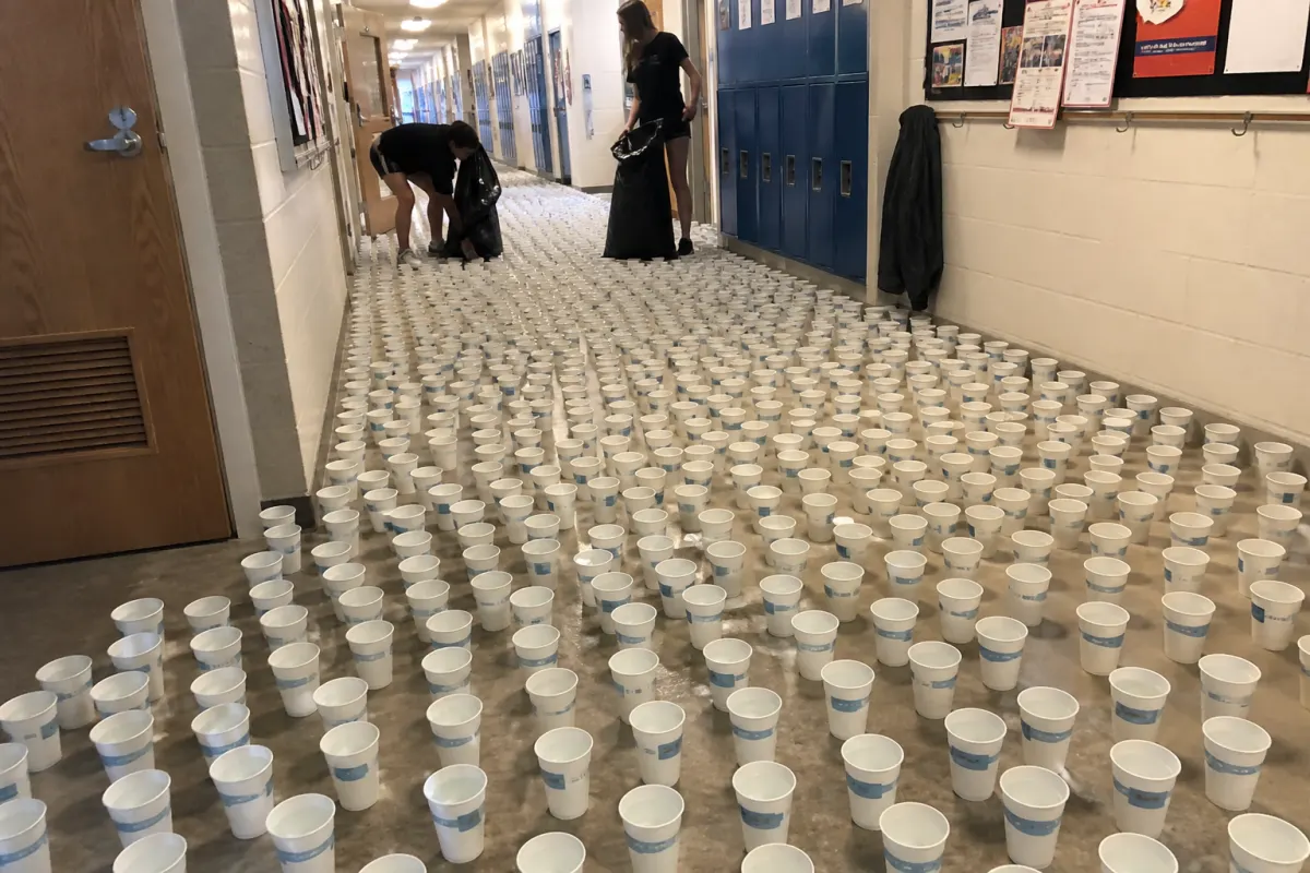 Cup maze