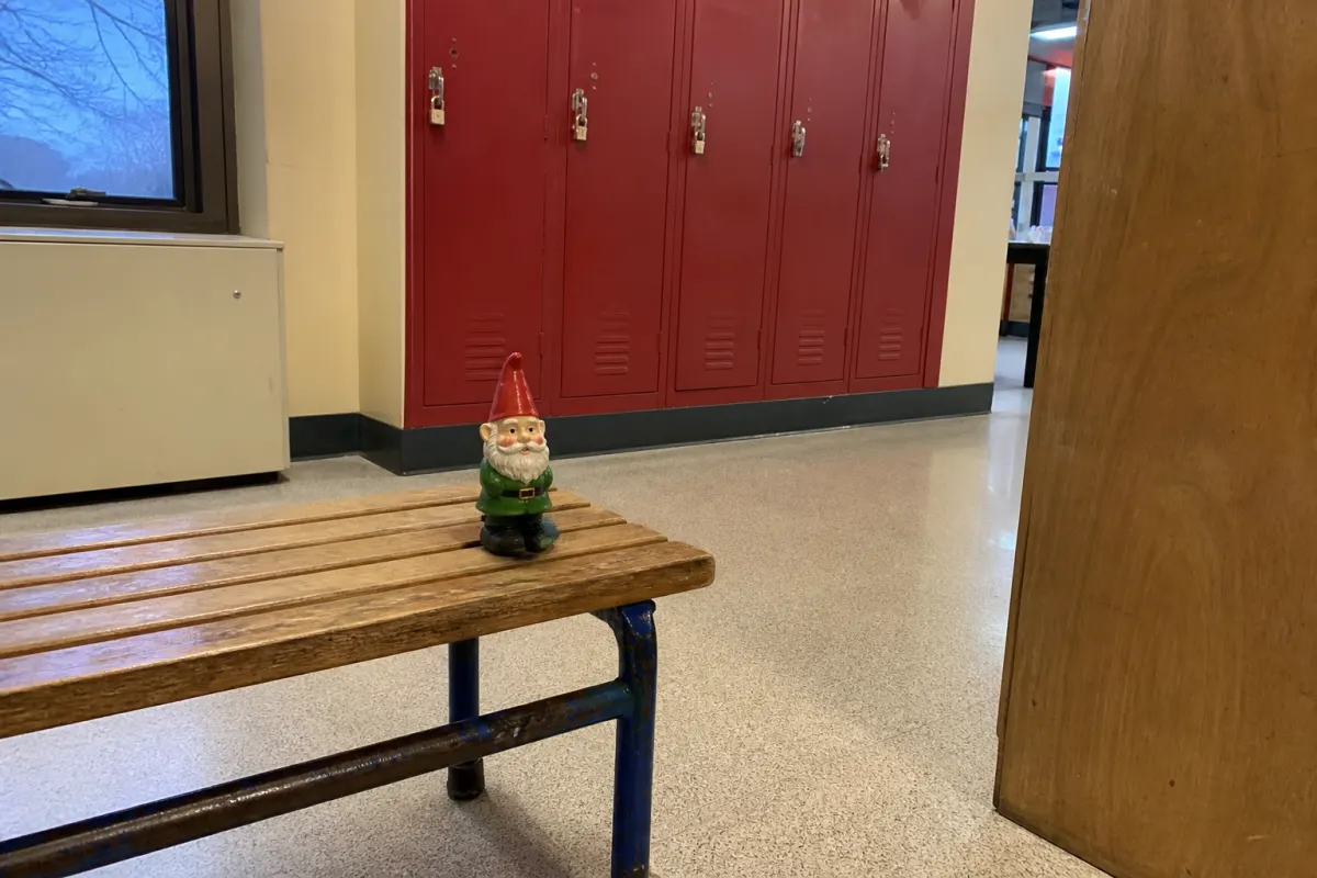 The gnome migration