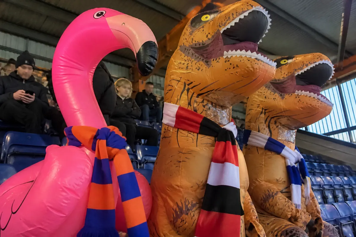 Inflatable guests